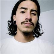 Docente en formación. Con habilidades en el campo de las humanidades